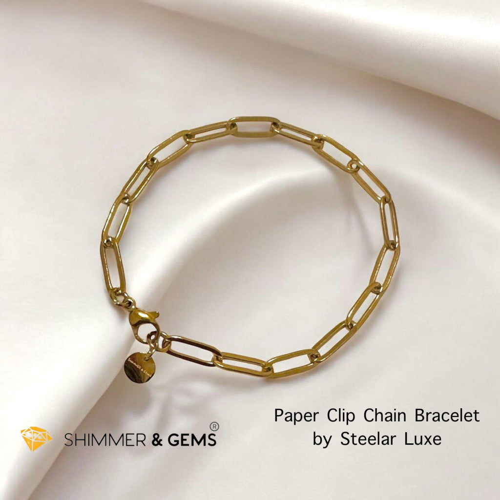 Paperclip Chain 4mm Bracelet – Steelar Luxe Collection (Stainless Steel)
