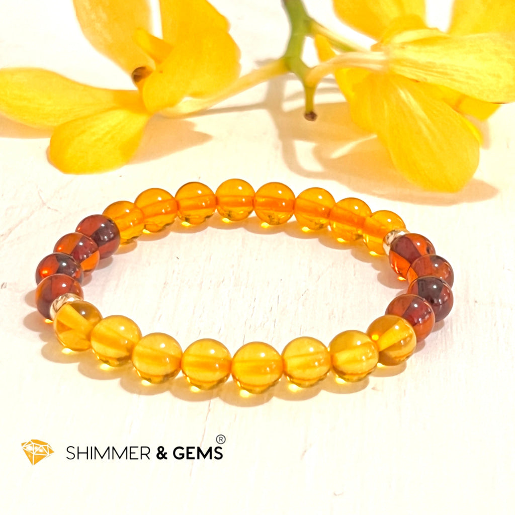 Amber Tricolour Bracelet (Natural) 6Mm Bracelets