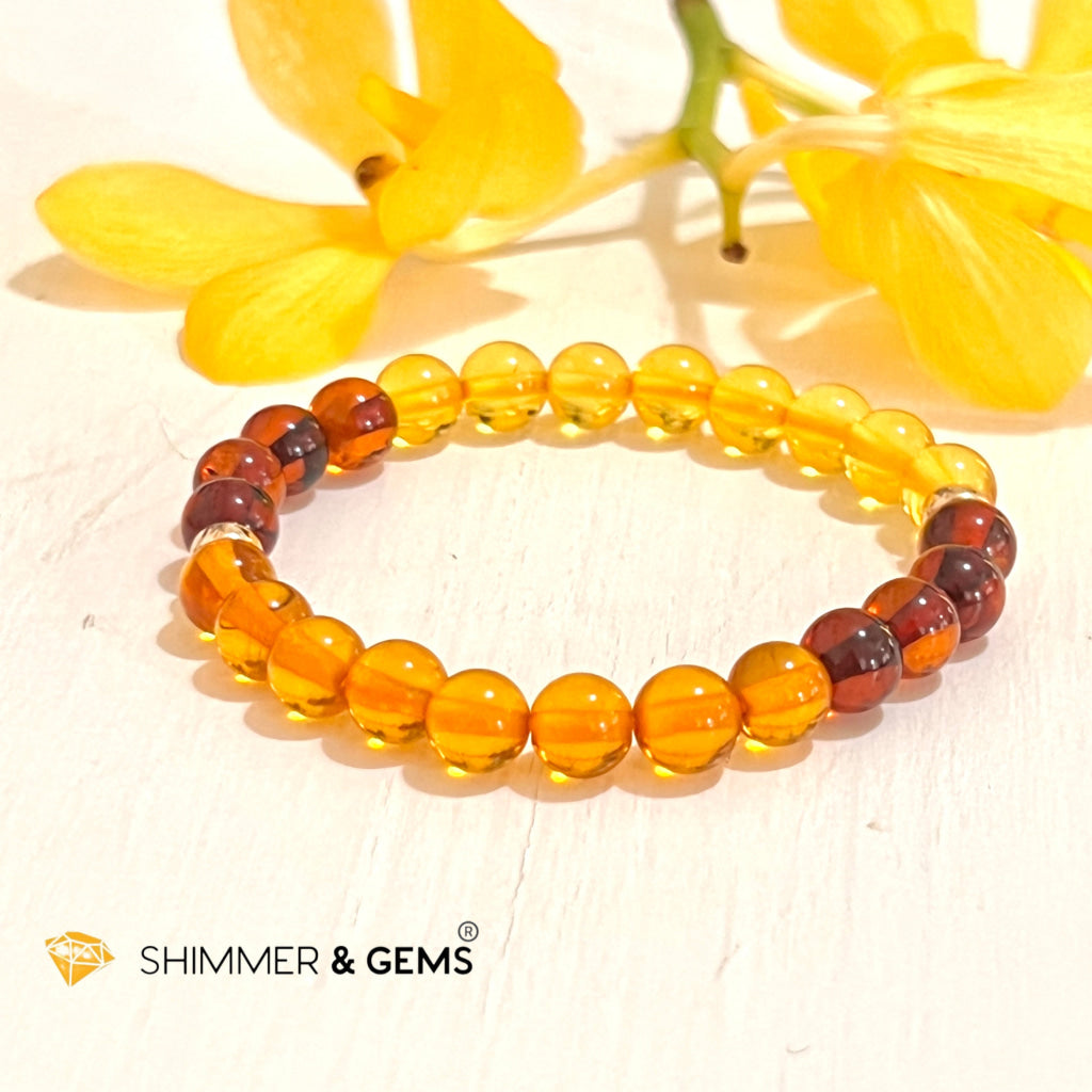 Amber Tricolour Bracelet (Natural) 6Mm Bracelets