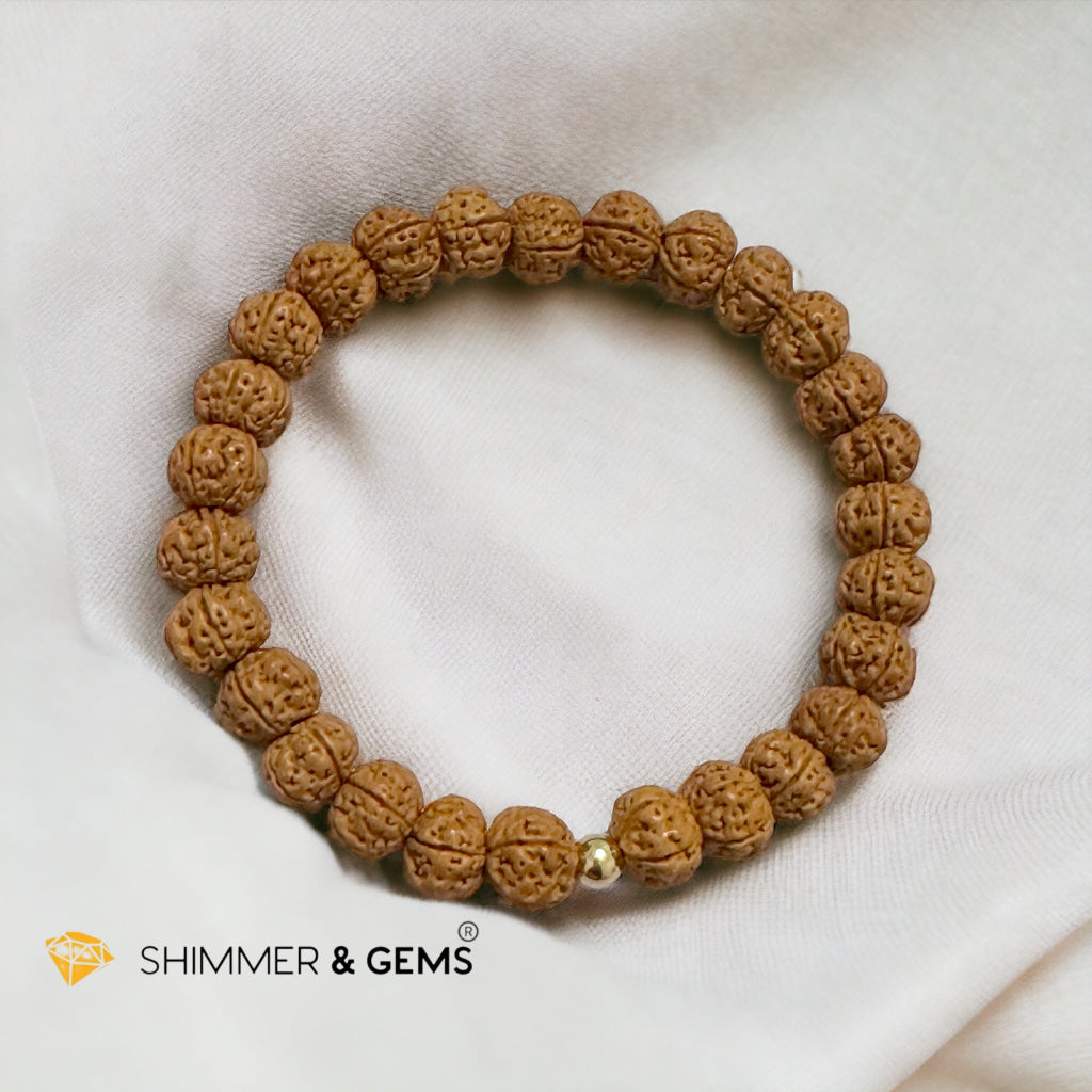 Bodhi Seeds Rudrashka Bracelet 8mm