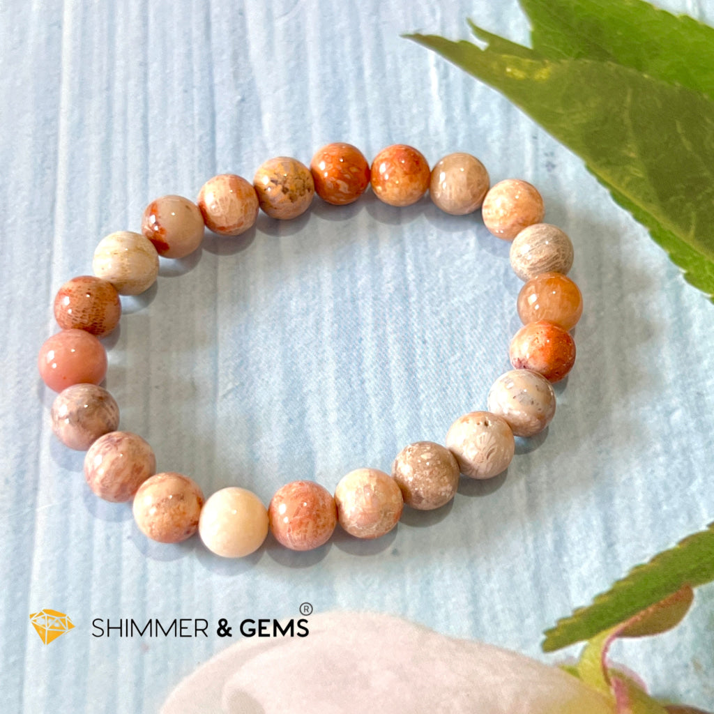 Coral (Natural) 8Mm Bracelet 6.5