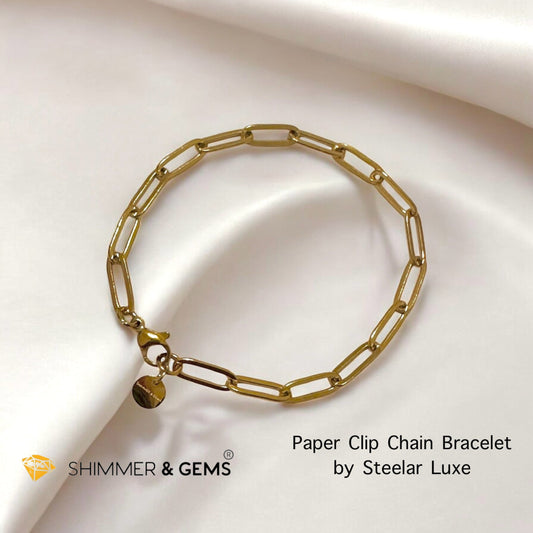 Paperclip Chain 4mm Bracelet – Steelar Luxe Collection (Stainless Steel)