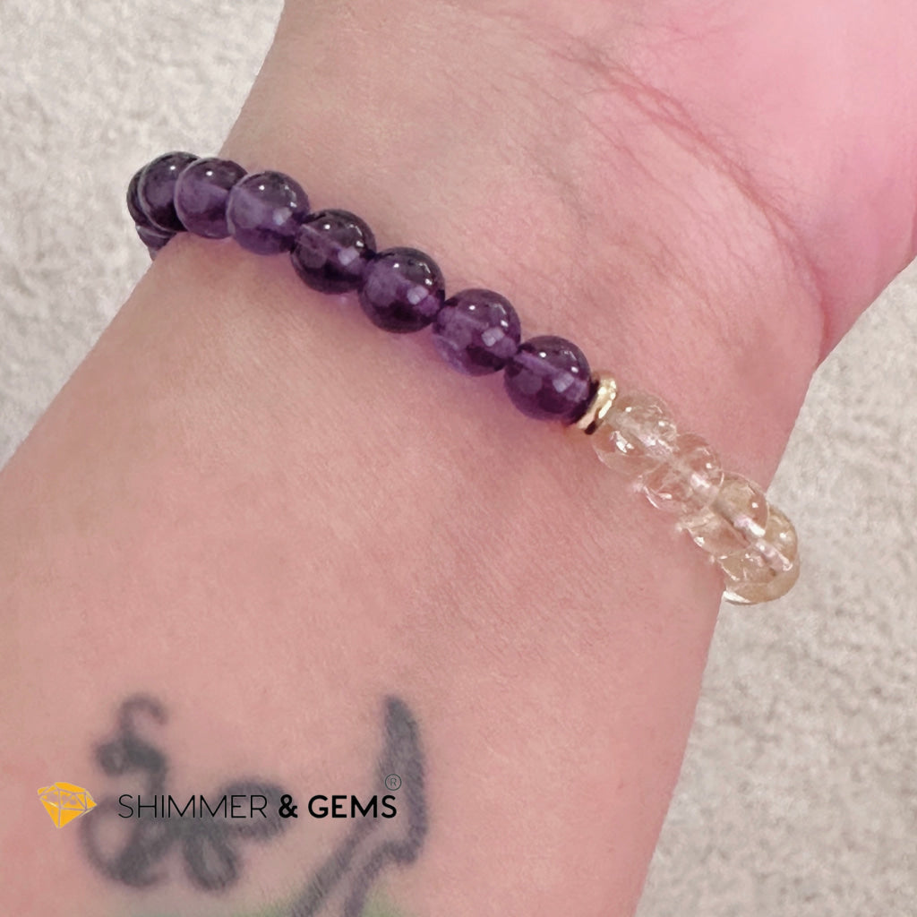 Wealth & Career Success Pixiu Bracelet (Stainless Steel) Citrine and Amethyst 6mm